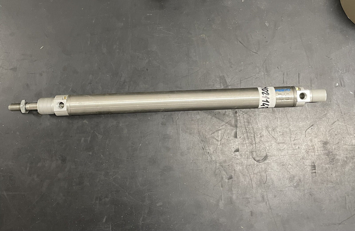 Festo DSNU-25-250-PPV-A 19252 Cilindro Pneumatico ISO 64320