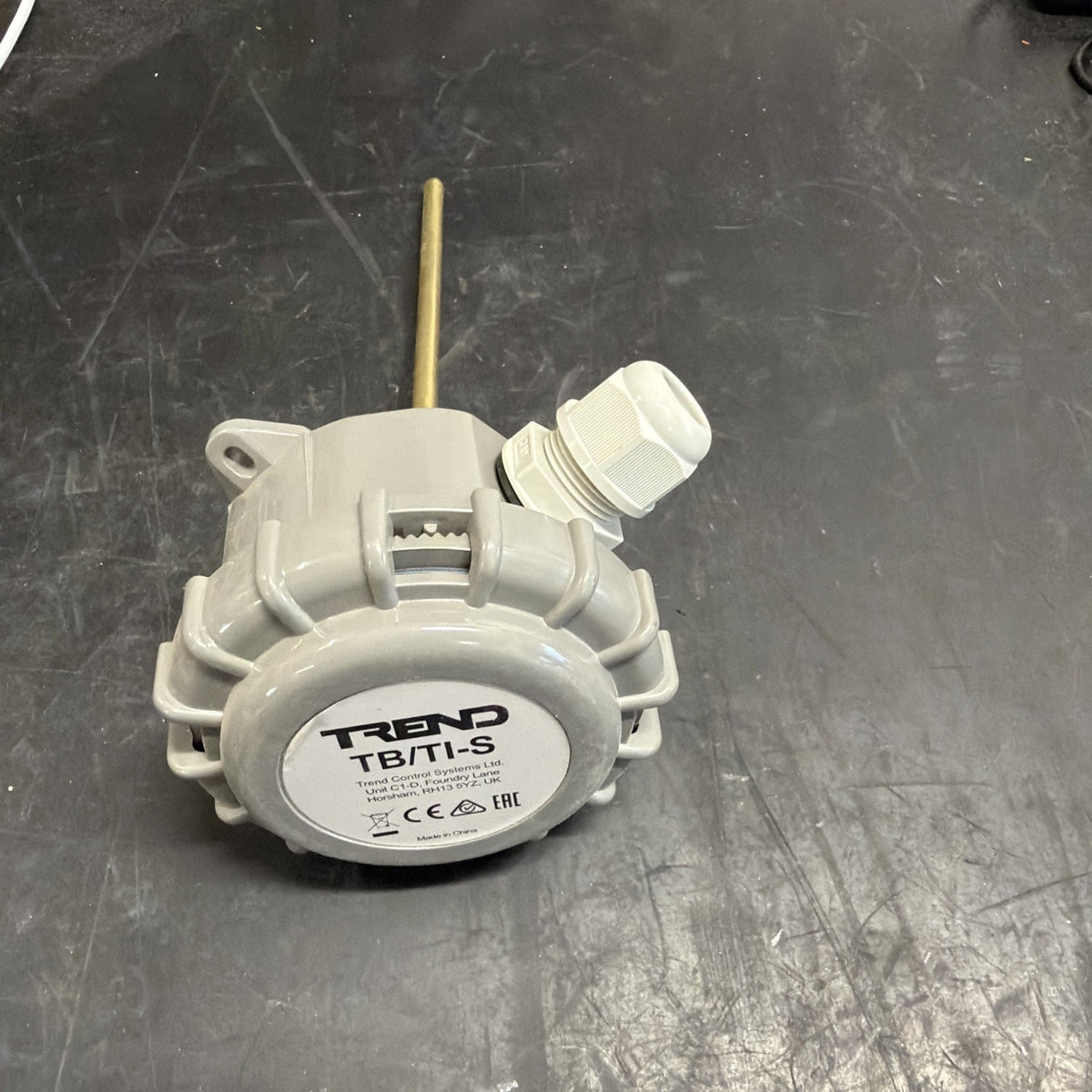 Trend TB/TI-S Sonda di Temperatura per Liquidi0